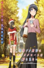 أنمي Seishun Buta Yarou wa Santa Claus no Yume wo Minai مترجم الموسم الأول كامل